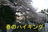 「春散歩2000」
