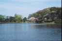 「春三渓園2001」